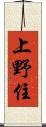 上野住 Scroll