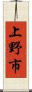 上野市 Scroll