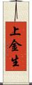 上金生 Scroll