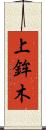 上鉾木 Scroll