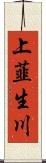 上韮生川 Scroll