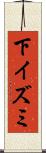 下イズミ Scroll