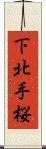 下北手桜 Scroll