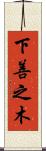 下善之木 Scroll
