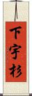 下宇杉 Scroll