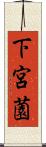 下宮薗 Scroll