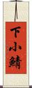 下小鯖 Scroll