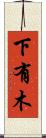 下有木 Scroll
