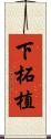下柘植 Scroll
