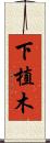 下植木 Scroll