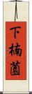 下楠薗 Scroll