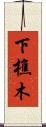 下樵木 Scroll