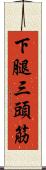 下腿三頭筋 Scroll