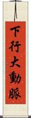 下行大動脈 Scroll