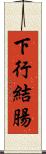 下行結腸 Scroll