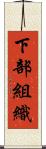 下部組織 Scroll