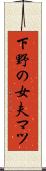 下野の女夫マツ Scroll