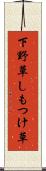 下野草 Scroll