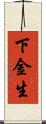 下金生 Scroll