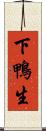 下鴨生 Scroll