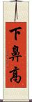 下鼻高 Scroll