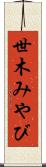 世木みやび Scroll