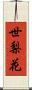 世梨花 Scroll