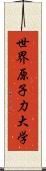 世界原子力大学 Scroll