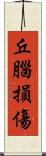 丘腦損傷 Scroll