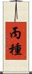 丙種 Scroll