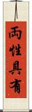両性具有 Scroll