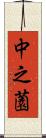 中之薗 Scroll