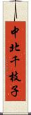 中北千枝子 Scroll