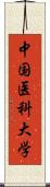 中国医科大学 Scroll