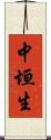 中垣生 Scroll