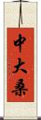 中大桑 Scroll