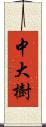 中大樹 Scroll