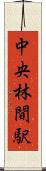 中央林間駅 Scroll