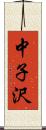 中子沢 Scroll