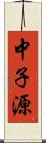 中子源 Scroll