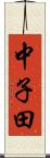 中子田 Scroll