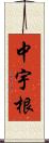 中宇根 Scroll