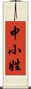 中小姓 Scroll