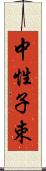 中性子束 Scroll