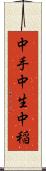 中手 Scroll