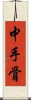 中手骨 Scroll