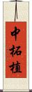 中柘植 Scroll