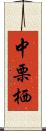 中栗栖 Scroll