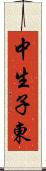中生子東 Scroll