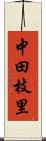 中田枝里 Scroll